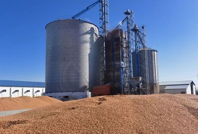 福?？h 科學配制“營養大餐”，助力畜牧業提質增效